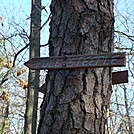 Pole Steeple Trail Marker, PA, 12/30/11
