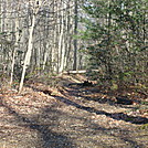 A.T. Junction With Pole Steeple Trail, PA, 12/30/11 by Irish Eddy in Views in Maryland & Pennsylvania