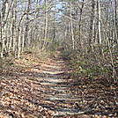 A.T. Junction With Pole Steeple Trail, PA, 12/30/11