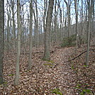 A.T. North Of Pole Steeple Trail, PA, 12/30/11 by Irish Eddy in Views in Maryland & Pennsylvania