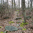 A.T. North Of Pole Steeple Trail, PA, 12/30/11 by Irish Eddy in Views in Maryland & Pennsylvania