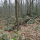 A.T. North Of Pole Steeple Trail, PA, 12/30/11