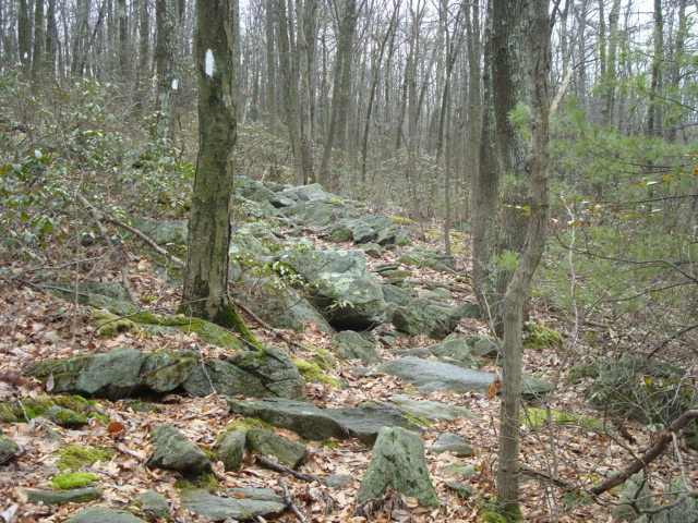 A.T. North Of Pole Steeple Trail, PA, 12/30/11