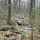 A.T. North Of Pole Steeple Trail, PA, 12/30/11