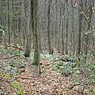 A.T. North Of Pole Steeple Trail, PA, 12/30/11 by Irish Eddy in Views in Maryland & Pennsylvania