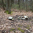 A.T. North Of Pole Steeple Trail, PA, 12/30/11 by Irish Eddy in Views in Maryland & Pennsylvania