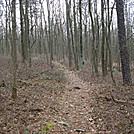 A.T. North Of Pole Steeple Trail, PA, 12/30/11 by Irish Eddy in Views in Maryland & Pennsylvania