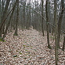 A.T. North Of Pole Steeple Trail, PA, 12/30/11