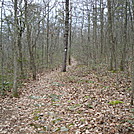 A.T. North Of Pole Steeple Trail, PA, 12/30/11 by Irish Eddy in Views in Maryland & Pennsylvania