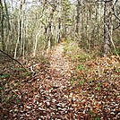 A.T. North Of Pole Steeple Trail, PA, 12/30/11 by Irish Eddy in Views in Maryland & Pennsylvania