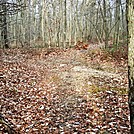 A.T. Junction With Limekiln Road on Piney Mountain, PA, 12/30/11