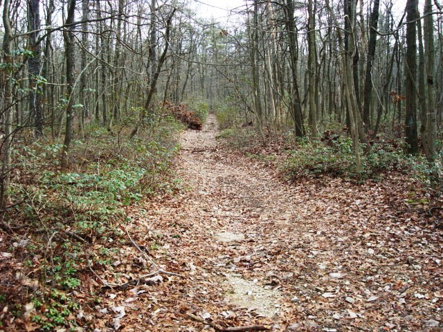 A.T. Junction With Limekiln Road on Piney Mountain, PA, 12/30/11