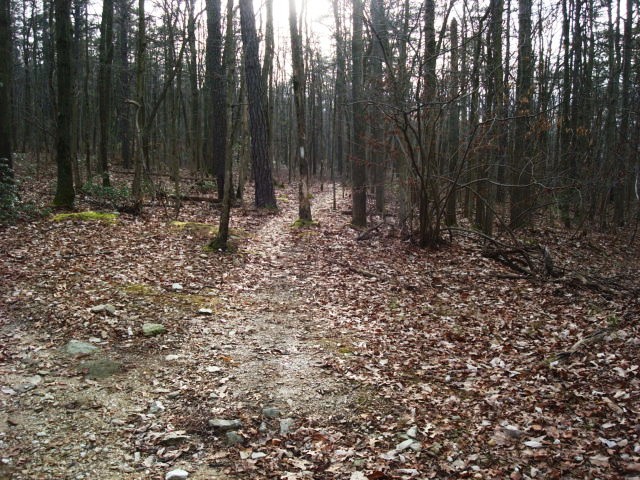 A.T. Junction With Limekiln Road On Piney Mountain, PA, 12/30/11