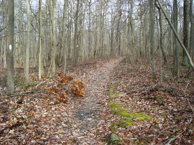 A.T. Junction With Limekiln Road On Piney Mountain, PA, 12/30/11