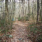 A.T. Junction With Mountain Creek Campground Trail, PA, 12/30/11