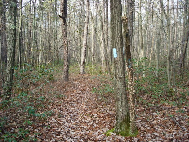 A.T. Junction With Mountain Creek Campground Trail, PA, 12/30/11