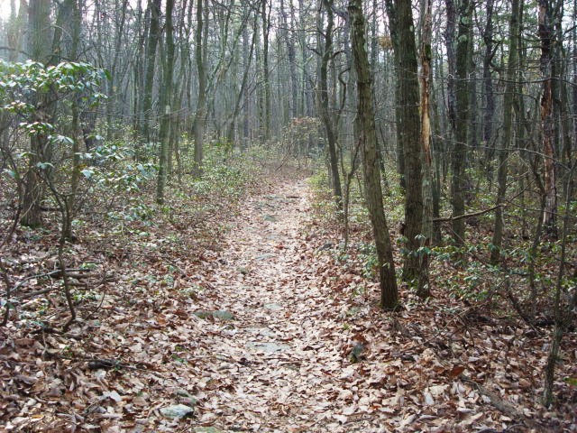 A.T. Junction With Mountain Creek Campground Trail, PA, 12/30/11