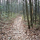 A.T. Junction With Mountain Creek Campground Trail, PA, 12/30/11 by Irish Eddy in Views in Maryland & Pennsylvania