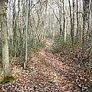 A.T. Junction With Mountain Creek Campground Trail, PA, 12/30/11 by Irish Eddy in Views in Maryland & Pennsylvania