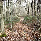 A.T. Junction With Mountain Creek Campground Trail, PA, 12/30/11