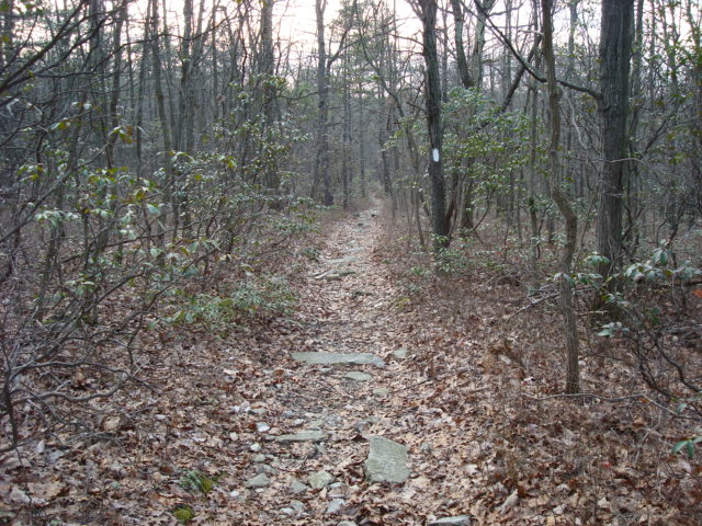 A.T. Junction With Mountain Creek Campground Trail, PA, 12/30/11