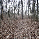 A.T. Descent From Piney Mountain, PA, 12/30/11