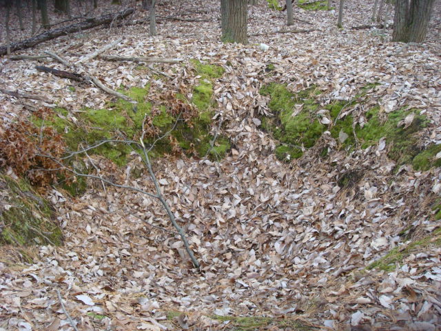 Foxholes On Piney Mountain, PA, 12/30/11