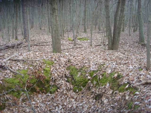 Foxholes On Piney Mountain, PA, 2/30/11