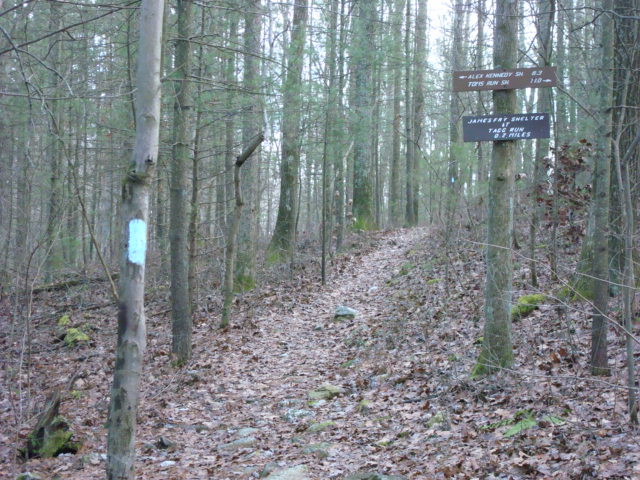 Trail Markers For James Fry Shelter, PA, 12/30/11
