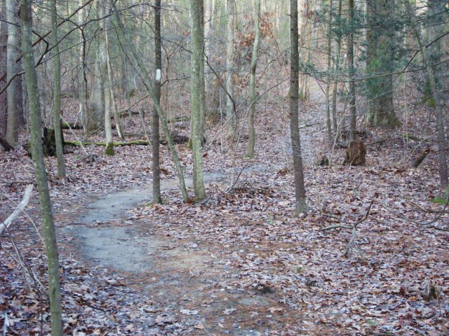 A.T. North Of Tagg Run, PA, 12/30/11