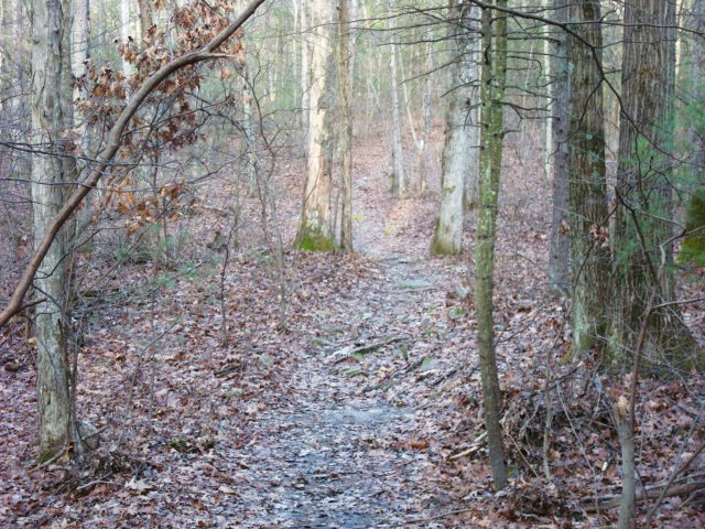 A.T. North Of Tagg Run, PA, 12/30/11