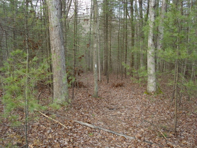 A.T. North Of Pine Grove Road, PA, 12/30/11