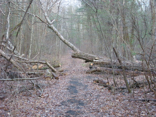 A.T. Merger With Reading Railroad Bed, PA, 12/30/11