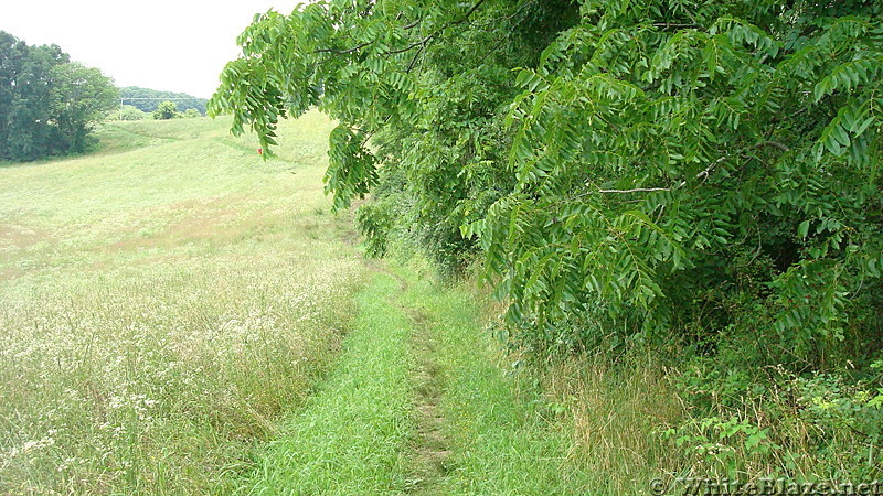 A.T. Near Valley Road, PA Route 850, PA, June 2015