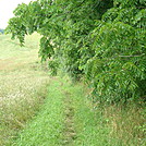 A.T. Near Valley Road, PA Route 850, PA, June 2015 by Irish Eddy in Views in Maryland & Pennsylvania