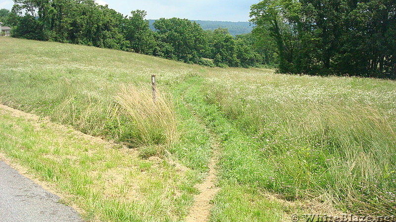 Millers Gap Road Crossing, PA, June 2015