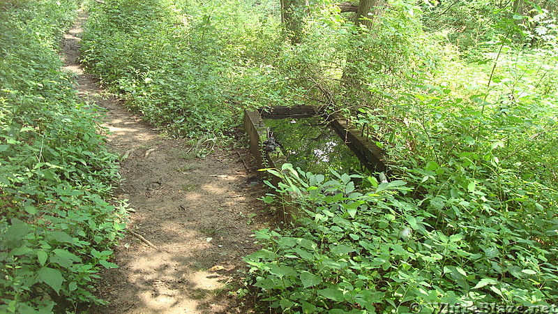 Water Triough Near Little Mountain, PA, June 2015