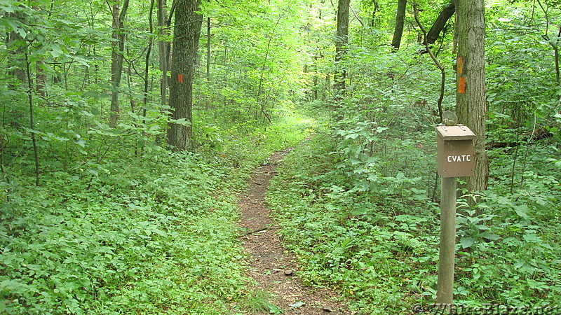 Trail Junction on Blue Mountain, PA, June 2015