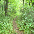 Trail Junction on Blue Mountain, PA, June 2015 by Irish Eddy in Views in Maryland & Pennsylvania