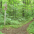 Trail Junction on Blue Mountain, PA, June 2015 by Irish Eddy in Views in Maryland & Pennsylvania