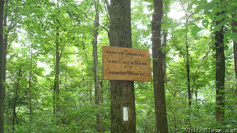 Trail Junction on Blue Mountain, PA, June 2015