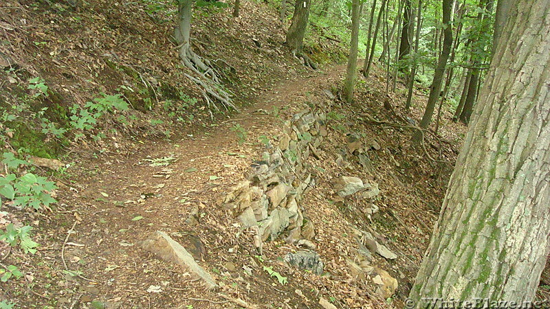 A.T. on Blue Mountain, PA, June 2015