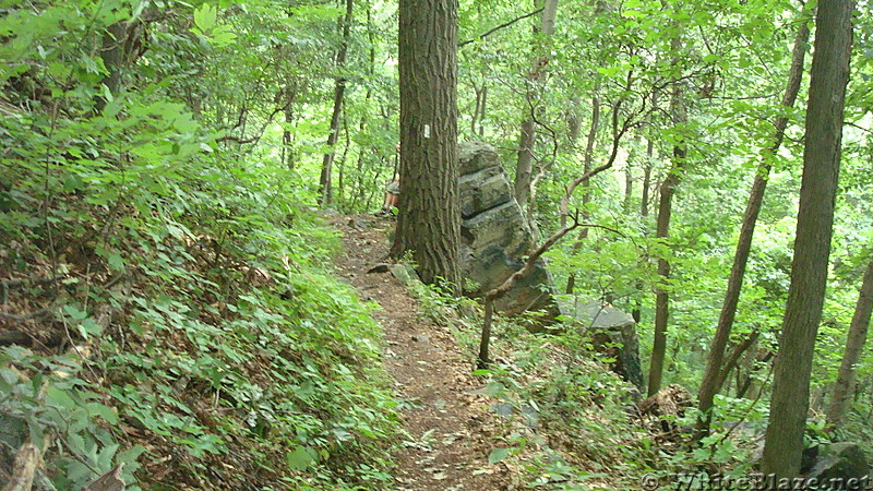 A.T. on Blue Mountain, PA, June 2015