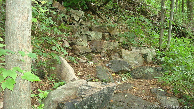 A.T. on Blue Mountain, PA, June 2015