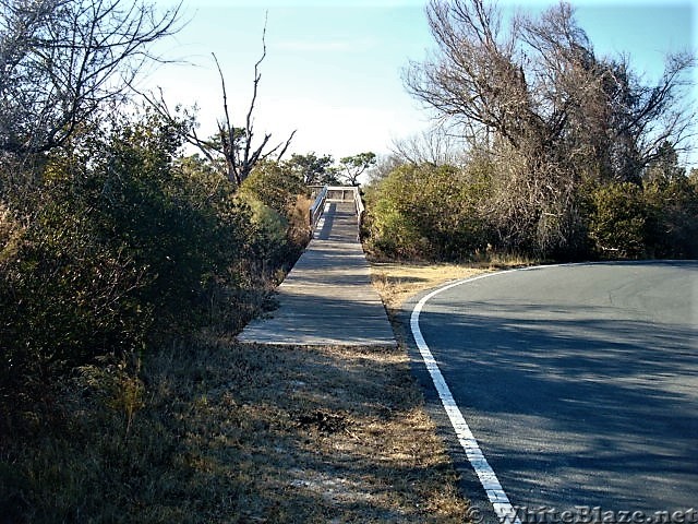 Assateague Island National Seashore: Life of the Marsh Trail