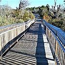 Assateague Island National Seashore: Life of the Marsh Trail by Irish Eddy in Other Trails