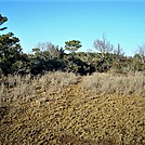 Assateague Island National Seashore: Life of the Marsh Trail