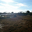 Assateague Island National Seashore: Life of the Marsh Trail