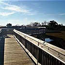 Assateague Island National Seashore: Life of the Marsh Trail