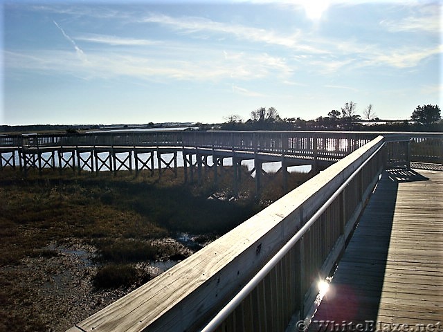 Assateague Island National Seashore: Life of the Marsh Trail